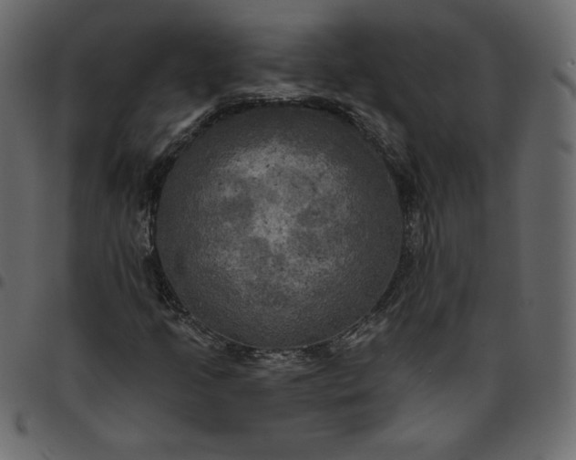 X0000095681205200801221218