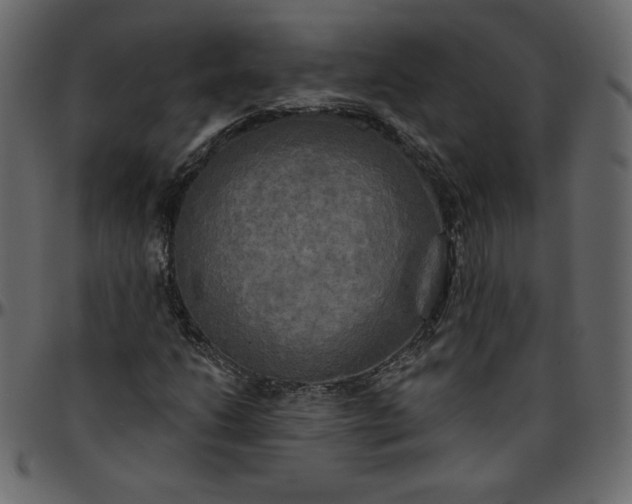 X0000095681206200801221219
