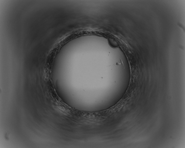 X0000095681207200801221219