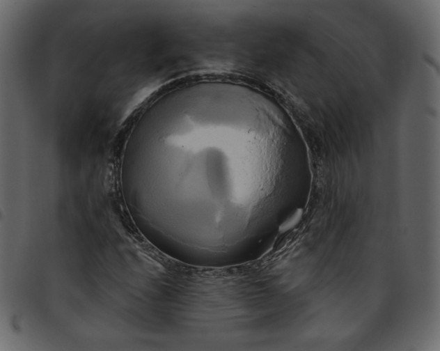 X0000095681208200801221219