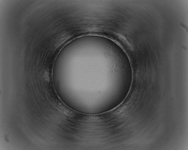 X0000095681209200801221219