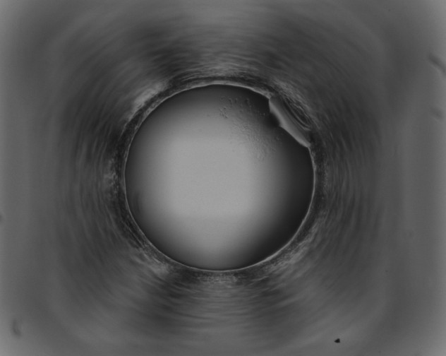 X0000095681210200801221219