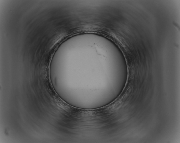 X0000095681211200801221219