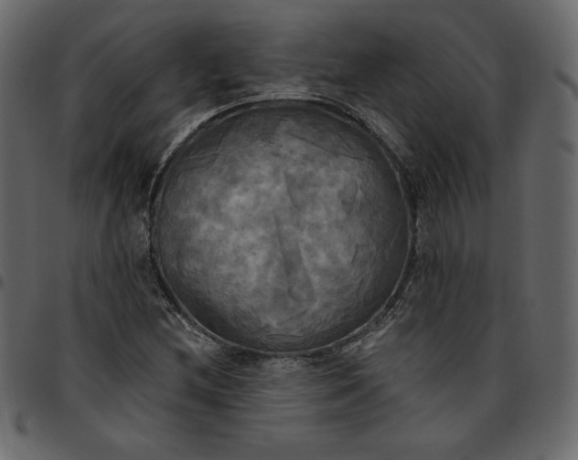 X0000095681212200801221219