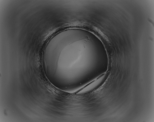 X0000095681213200801221219