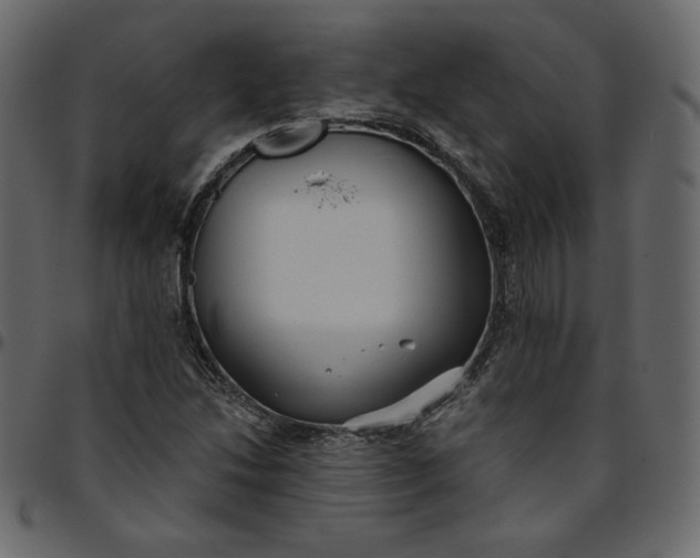 X0000095681214200801221219