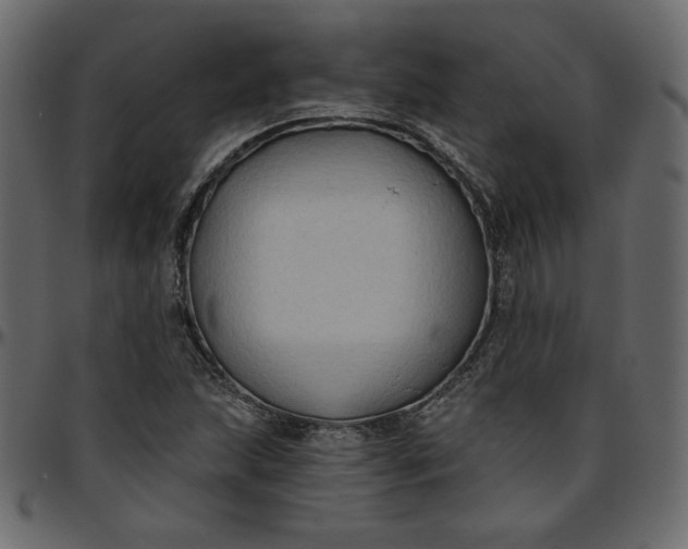 X0000095681215200801221219