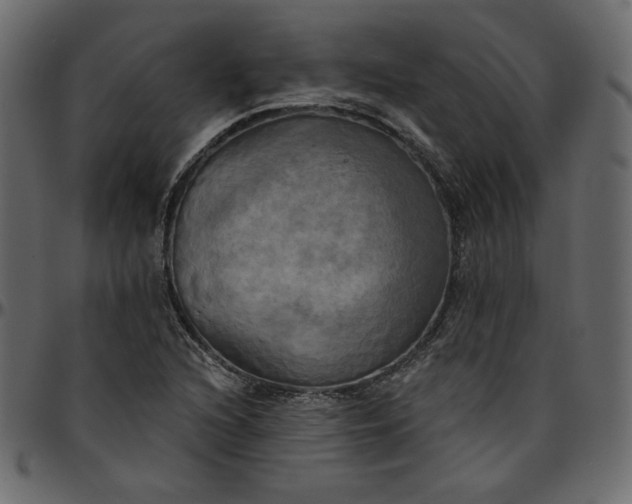 X0000095681216200801221219
