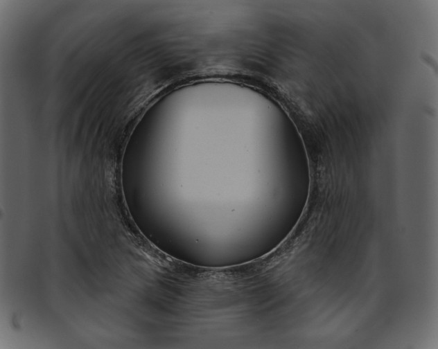 X0000095681217200801221219