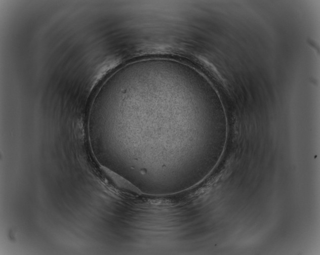 X0000095681218200801221219