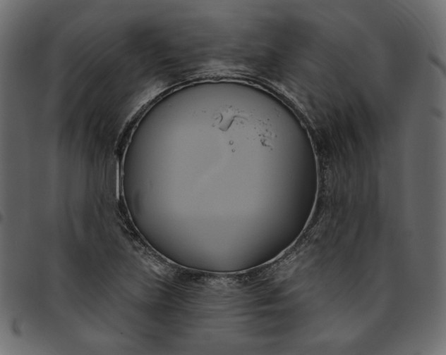 X0000095681219200801221219