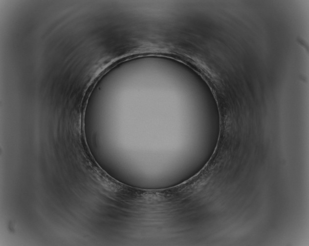 X0000095681220200801221219