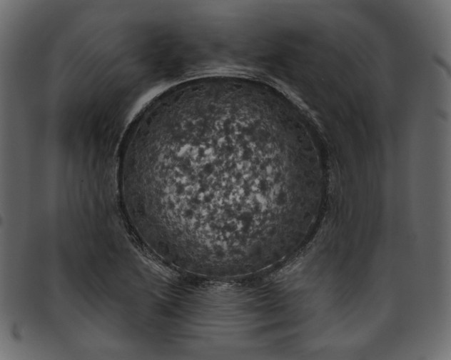 X0000095681222200801221219