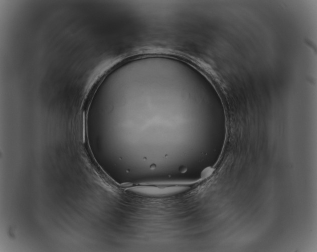 X0000095681223200801221219