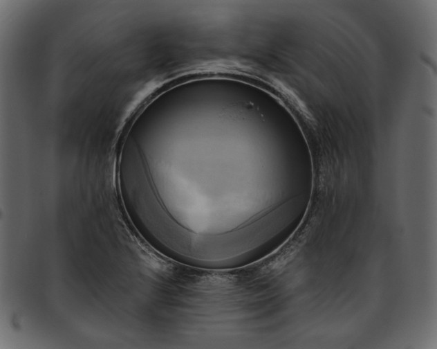 X0000095681224200801221219