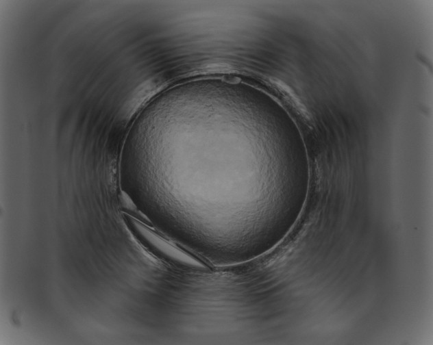 X0000095681225200801221219