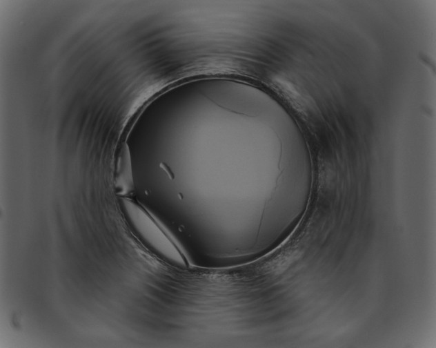 X0000095681226200801221219
