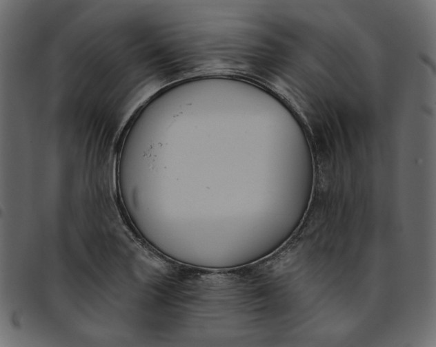 X0000095681227200801221219