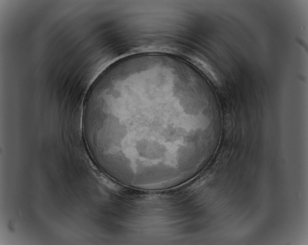 X0000095681228200801221219