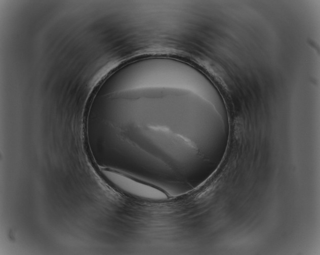 X0000095681229200801221219