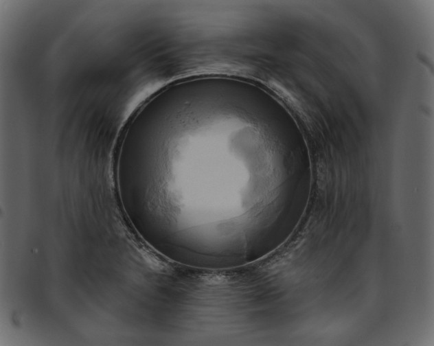 X0000095681230200801221219