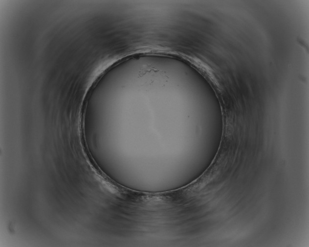 X0000095681231200801221219
