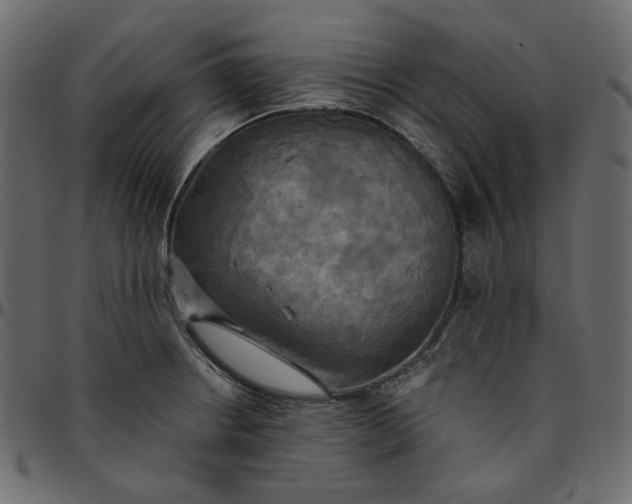 X0000095681234200801221219