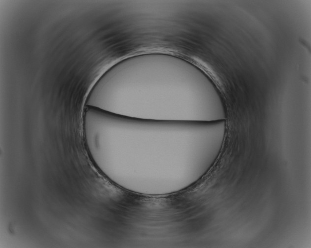 X0000095681236200801221219