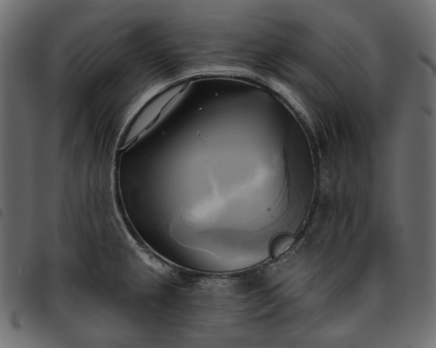 X0000095681237200801221219