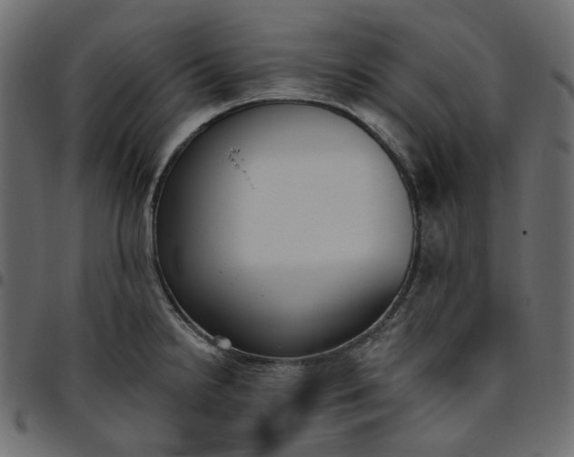 X0000095681238200801221219