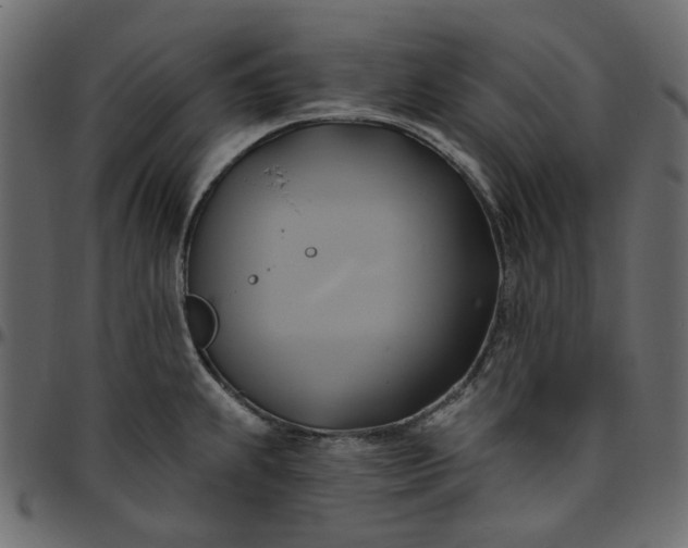 X0000095681239200801221219