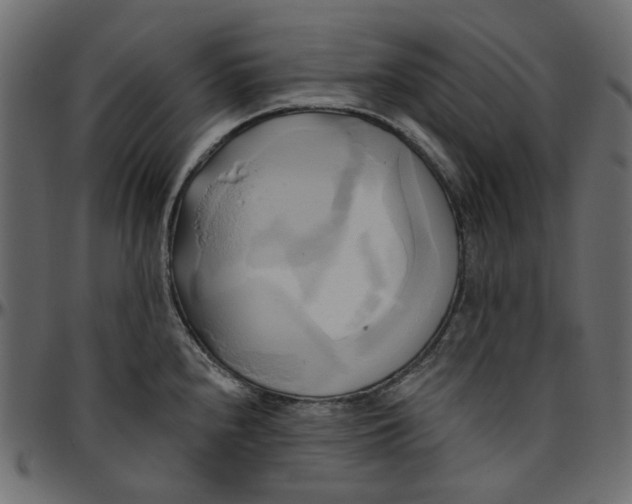 X0000095681240200801221219