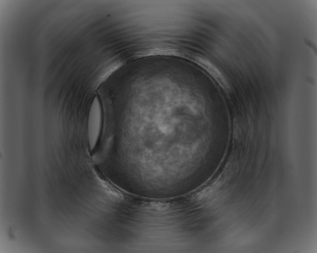 X0000095681241200801221219