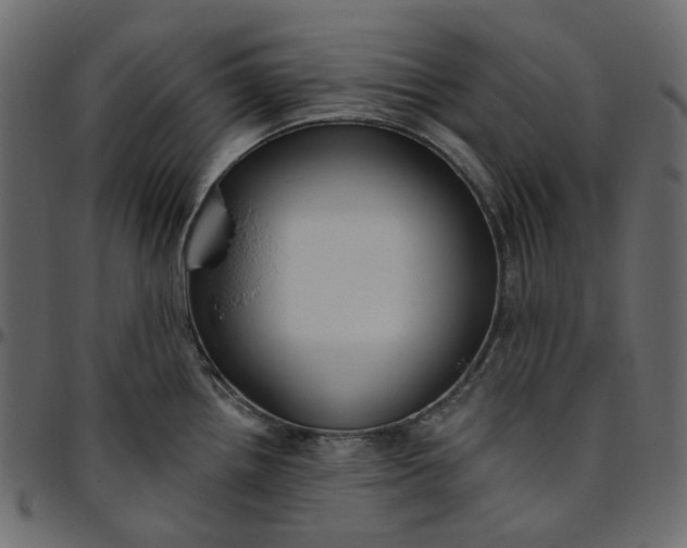 X0000095681242200801221219