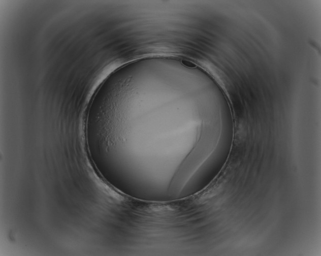 X0000095681243200801221219