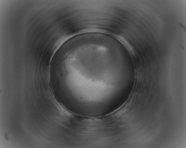 X0000095681244200801221219
