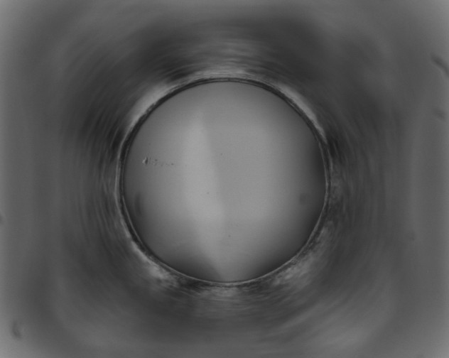 X0000095681245200801221219