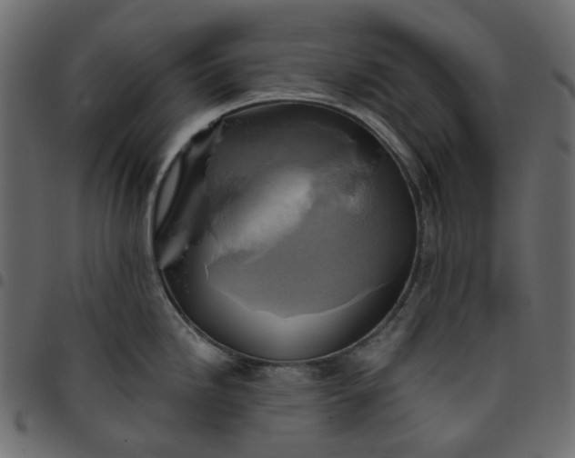 X0000095681246200801221219