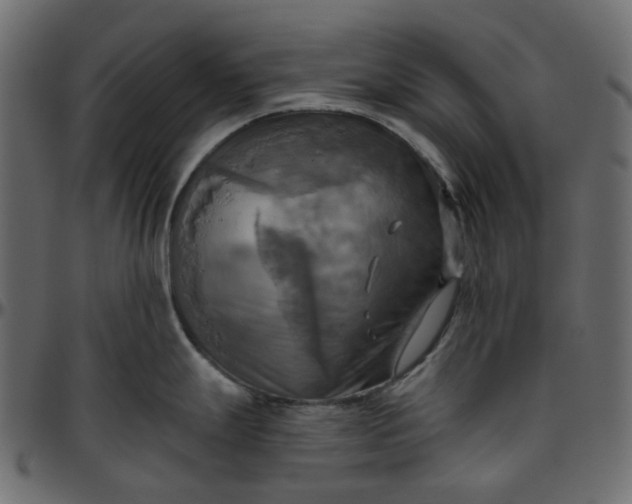 X0000095681247200801221219
