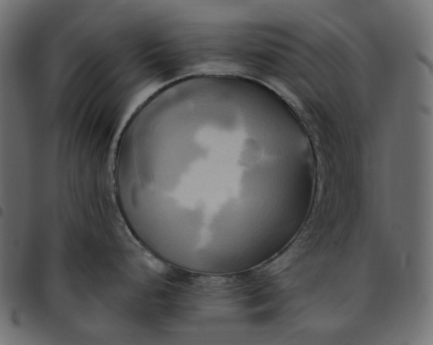 X0000095681248200801221219