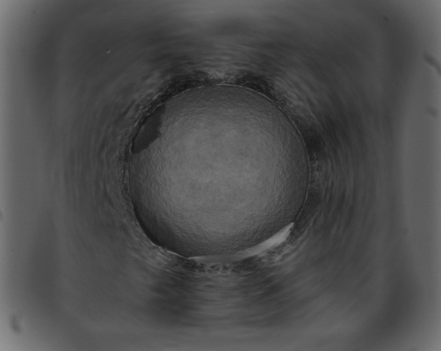 X0000095681249200801221218