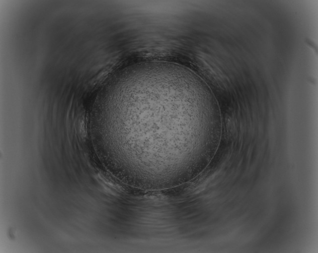 X0000095681250200801221218