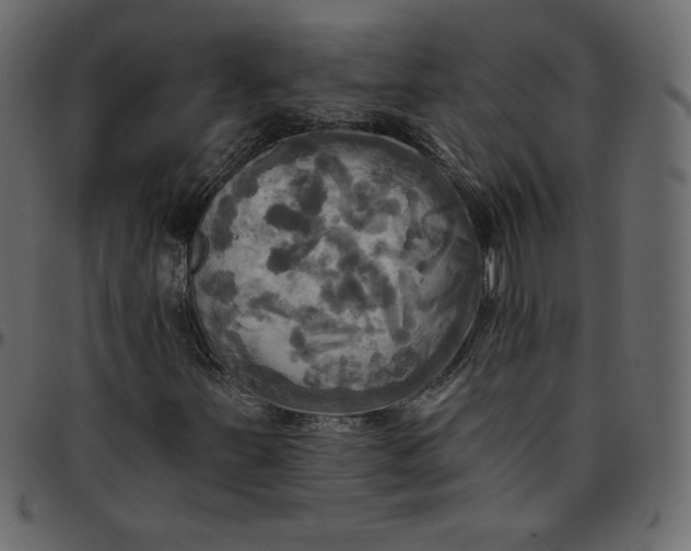 X0000095681251200801221218