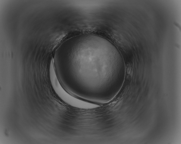 X0000095681252200801221218