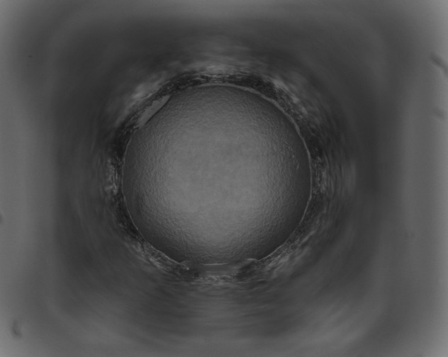 X0000095681253200801221218