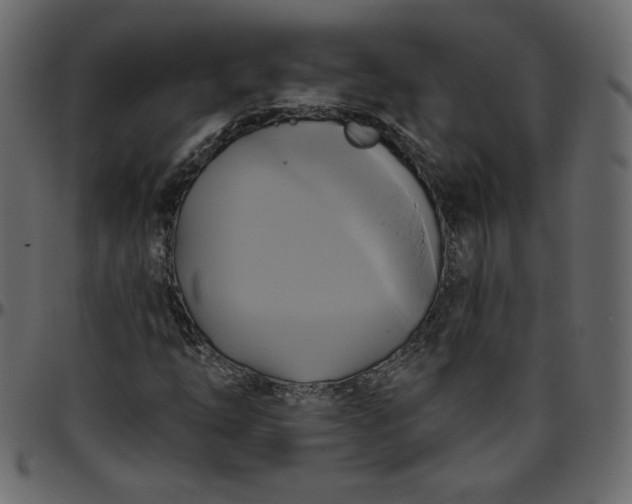 X0000095681254200801221218