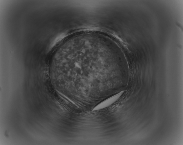 X0000095681255200801221218
