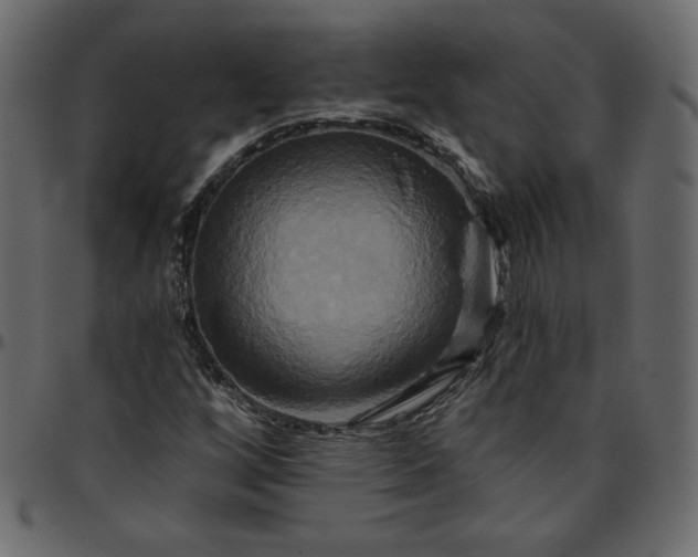 X0000095681256200801221218