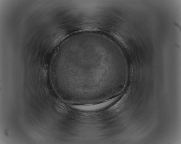 X0000095681257200801221218