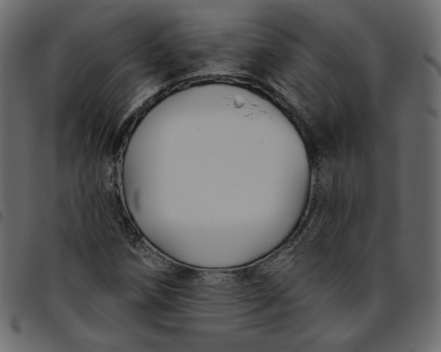 X0000095681258200801221218